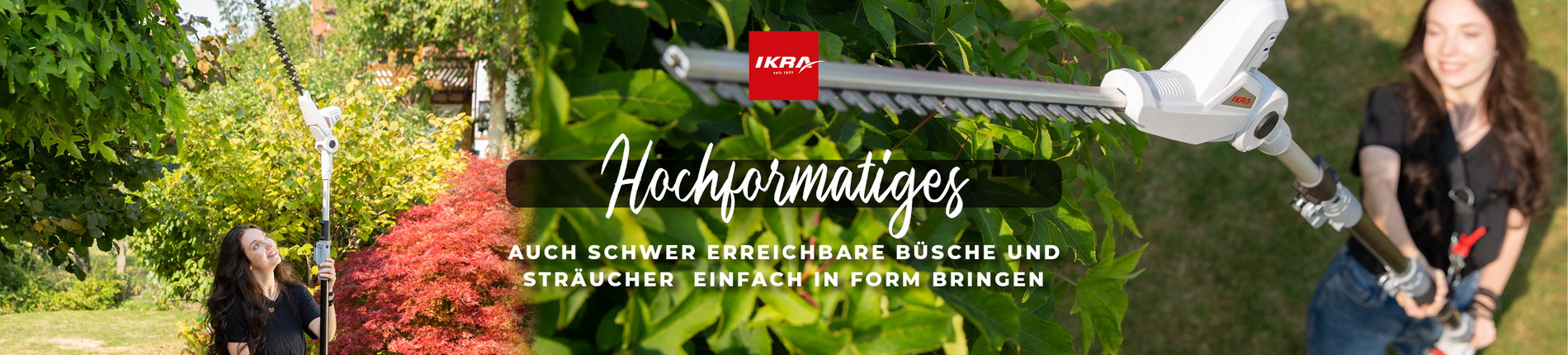 Das Bild zeigt die Teleskop Heckenschere im Einsatz
