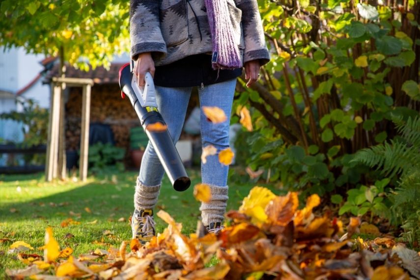 Eine Person in herbstlicher Kleidung entfernt Laub mit dem kabellosen Akku Laubbläser ICB 20 von IKRA.