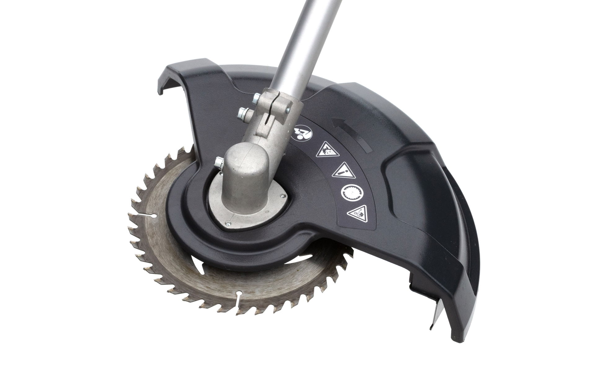 73600000-solo-on-bild16