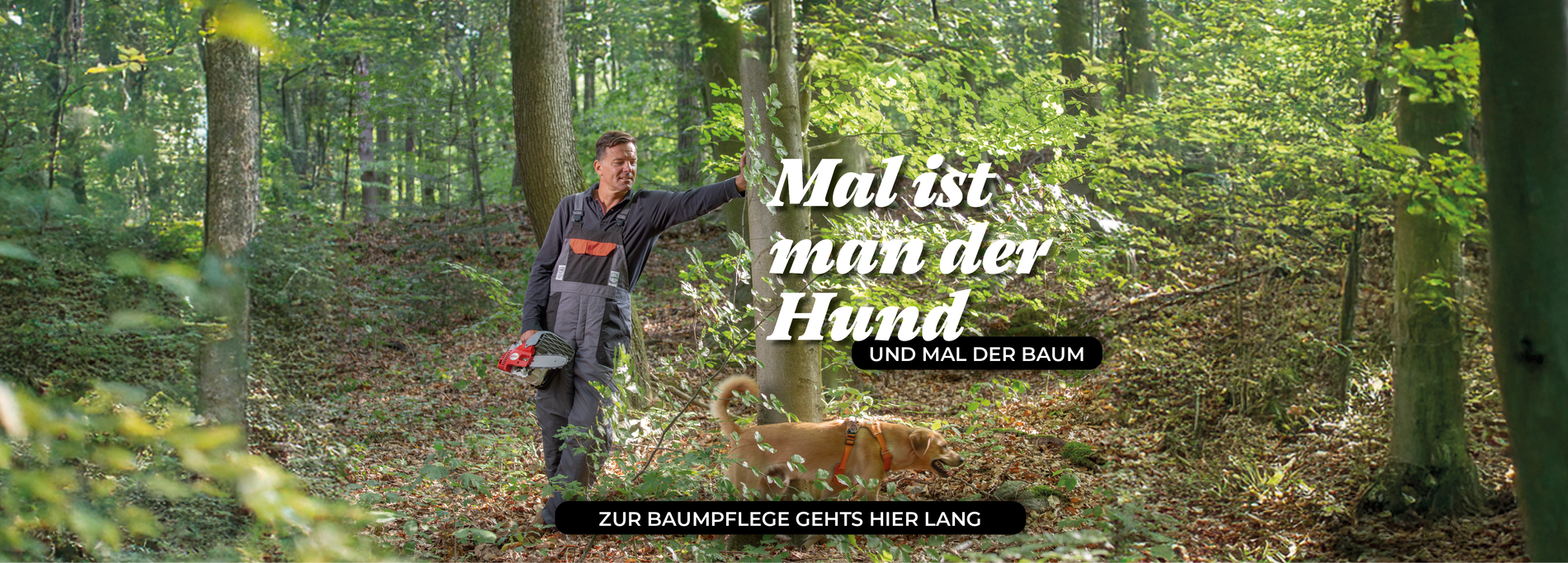 Banner Baumpflege 2 1920 x 690_2025