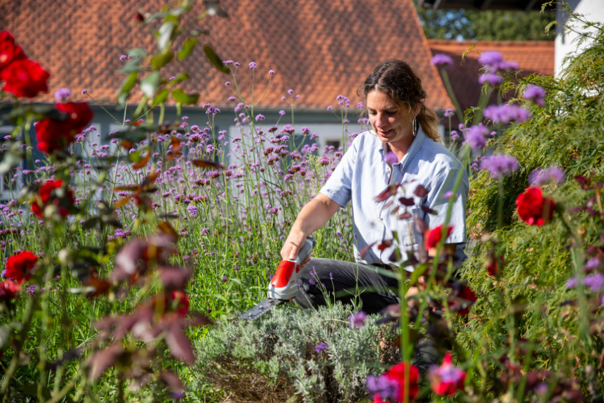 Eine Frau sitzt in der Hocke umgeben von Wildblumen und schneidet einen Busch mit der Gras- und Strauchschere IGBS 1210 F in Form.