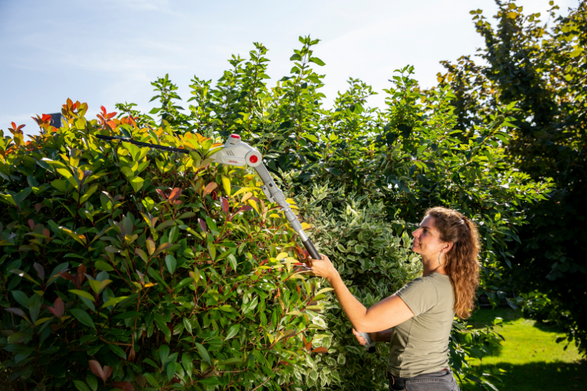 Eine Frau schneidet eine Hecke in Form mit der Akku Teleskop Heckenschere IATHS 1241.