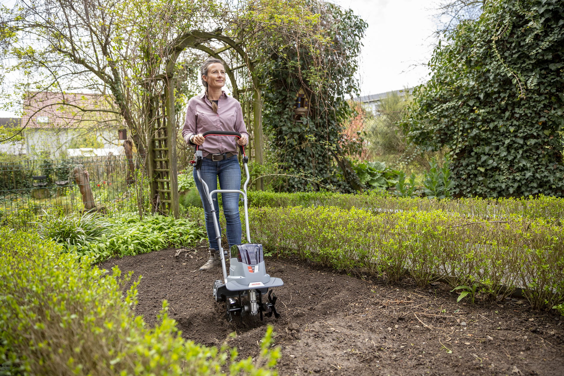 Akku Bodenhacke Kultivator IB-TC 36 IKRA BOSCH Akku Bodenhacke Kultivator IB-TC 36 IKRA BOSCH