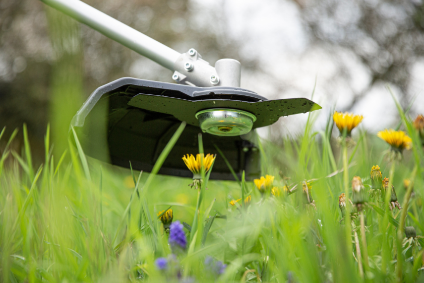 RasentrimmerFreischneider_Blog_Teaser