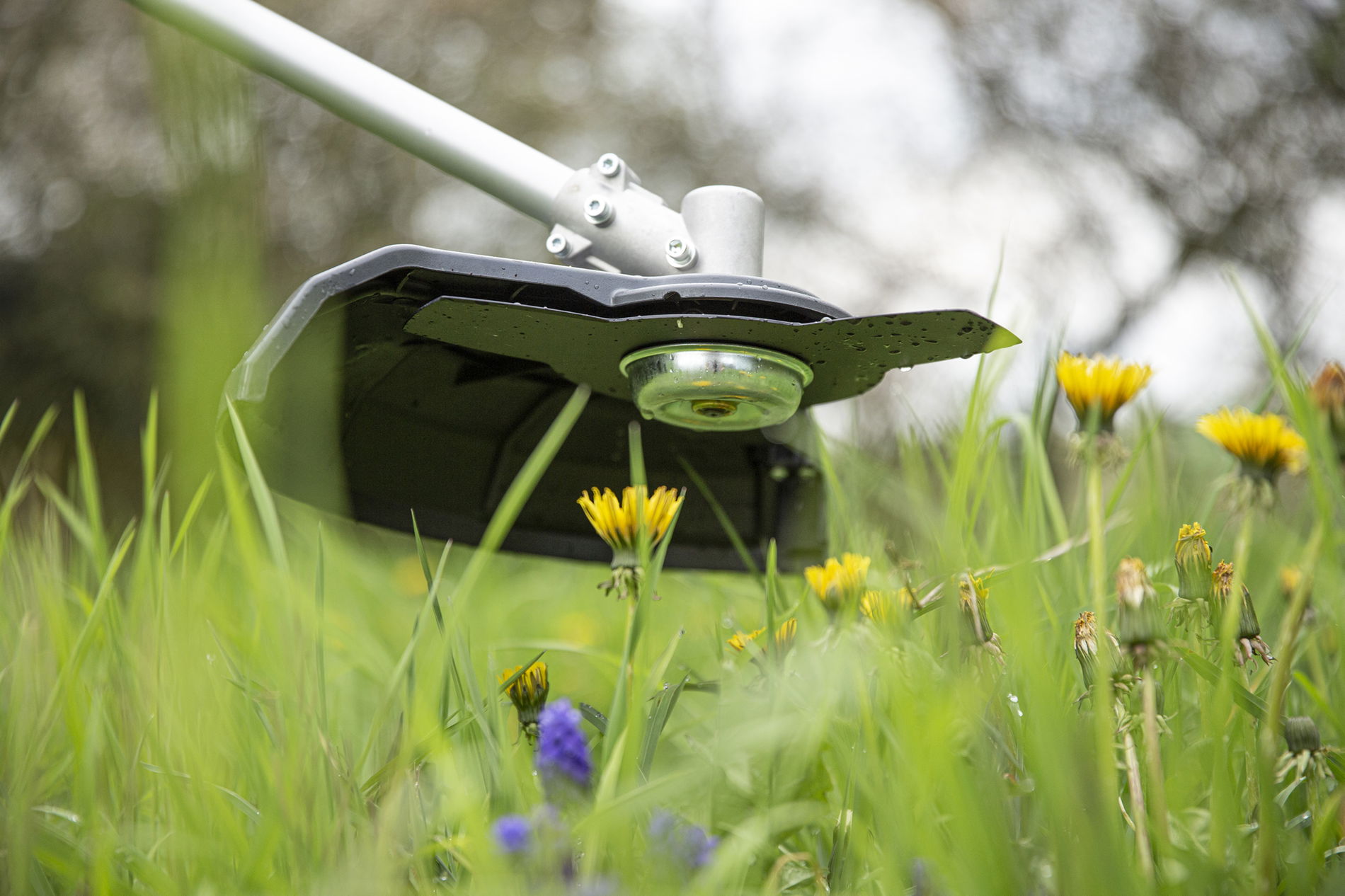 73600000-solo-on-bild05