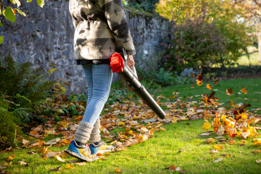 Gartenkalender_Blog Teaser