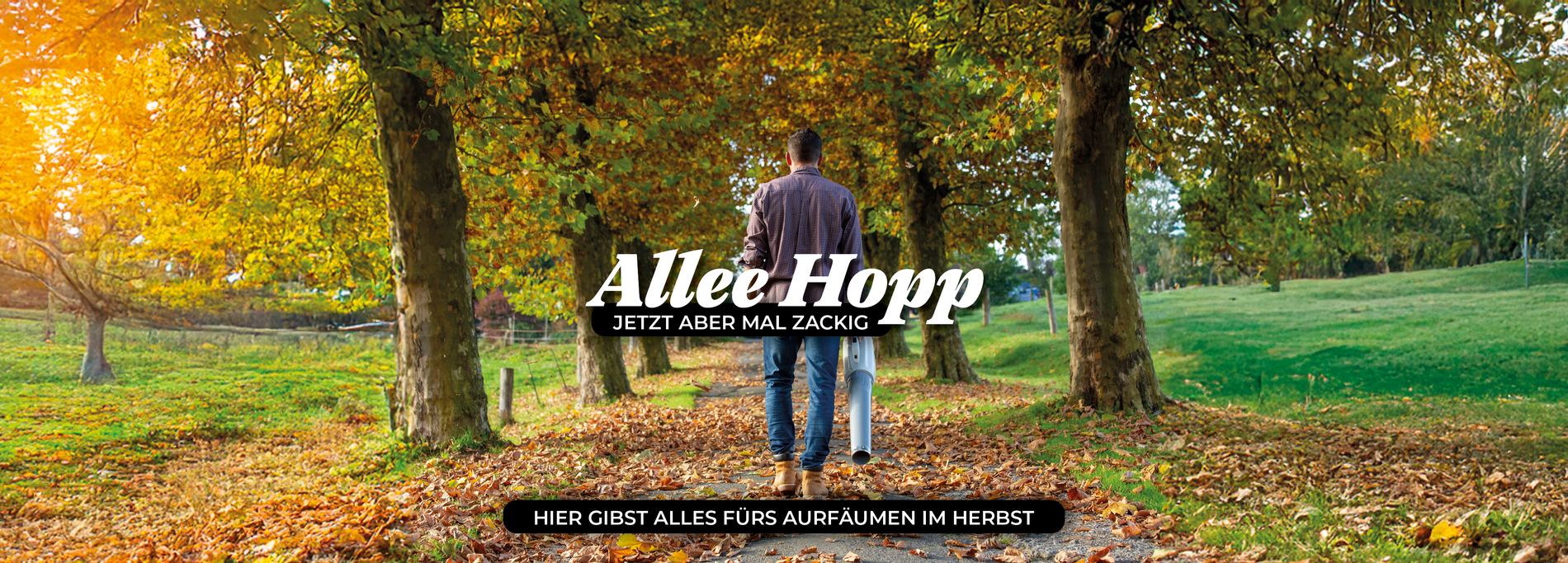 Ein Mann läuft eine herbstliche Allee entlang mit einem IKRA Laubbläser in der Hand