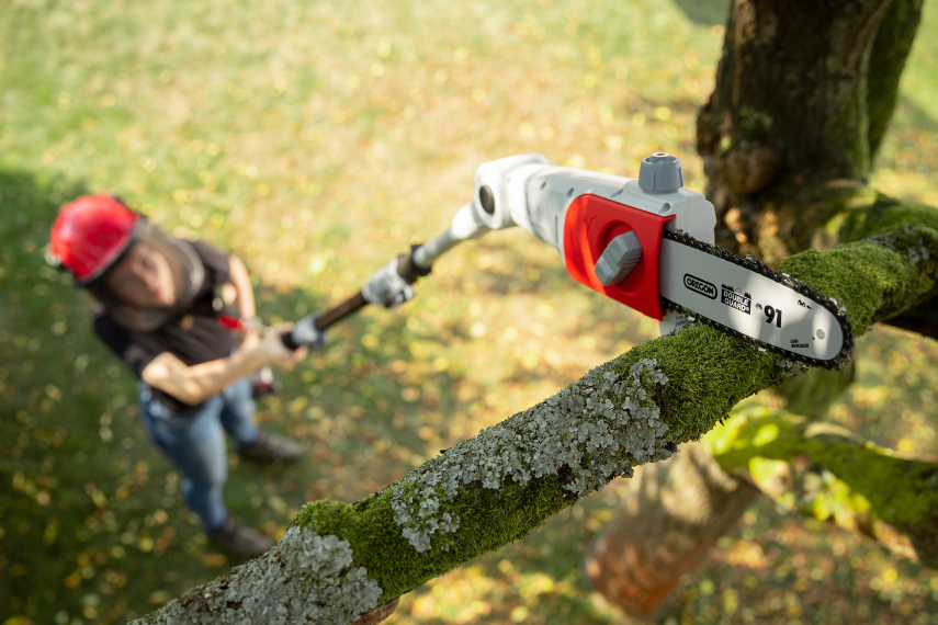 Obstbaumschnitt_Blog_Teaser