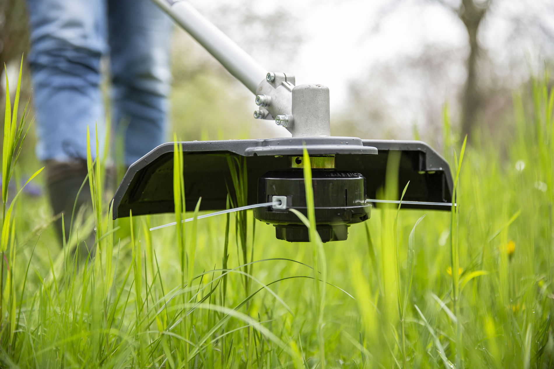 73600000-solo-on-bild04