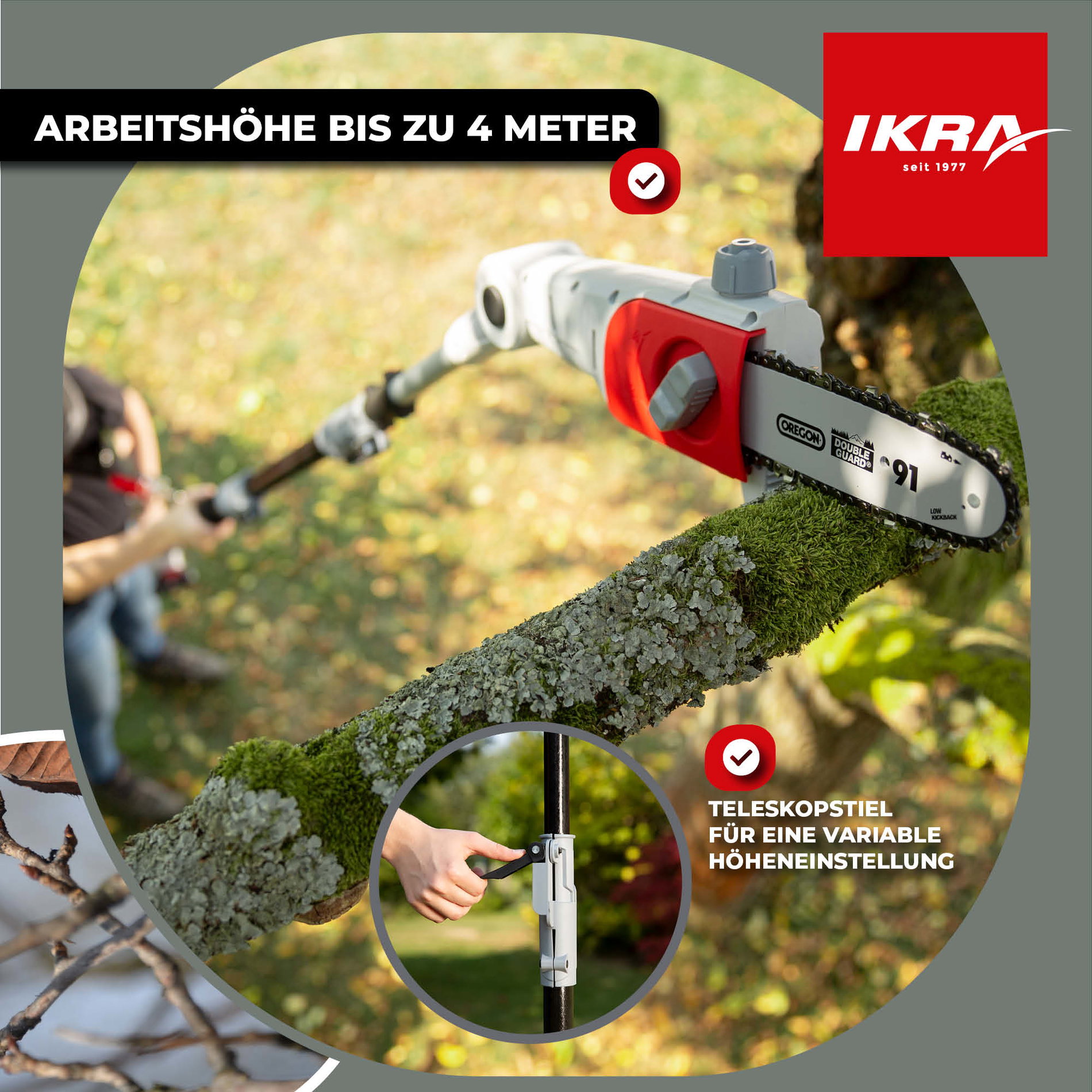 Akku Hochentaster ICPS 2020 mit 2. Akku & Schnelllader